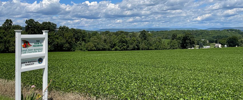 Century Farms